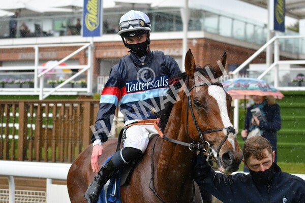 yr22052021r3-39 - Race 3 3.15pm William Hill Extra Place Races Stakes