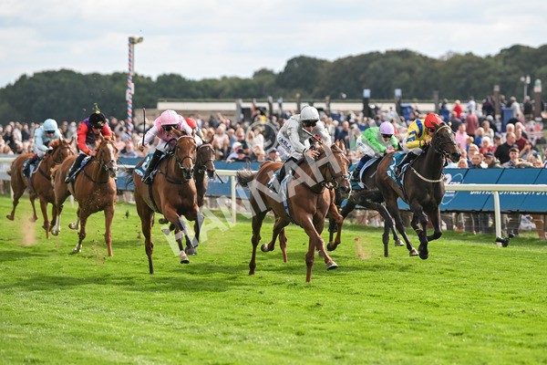 210825-Race 5-Charlottes Web-5031 - Race 5 4.10pm British EBF & Sir Henry Cecil Galtres Stakes