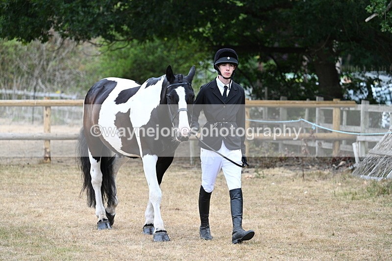 WJ7_8678 - Class 4a Prettiest Mare 14.2hh and over