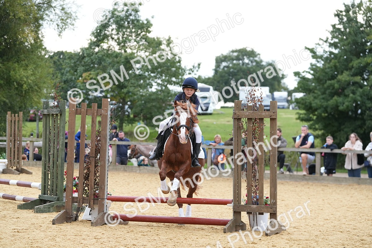 SBM_74586 - J4 - Mini Tour Junior Pony 45cm Championship