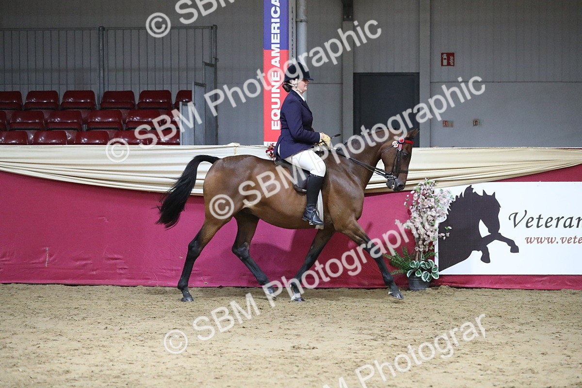 SBM_08484 - Class 11R Regional Ridden Veteran