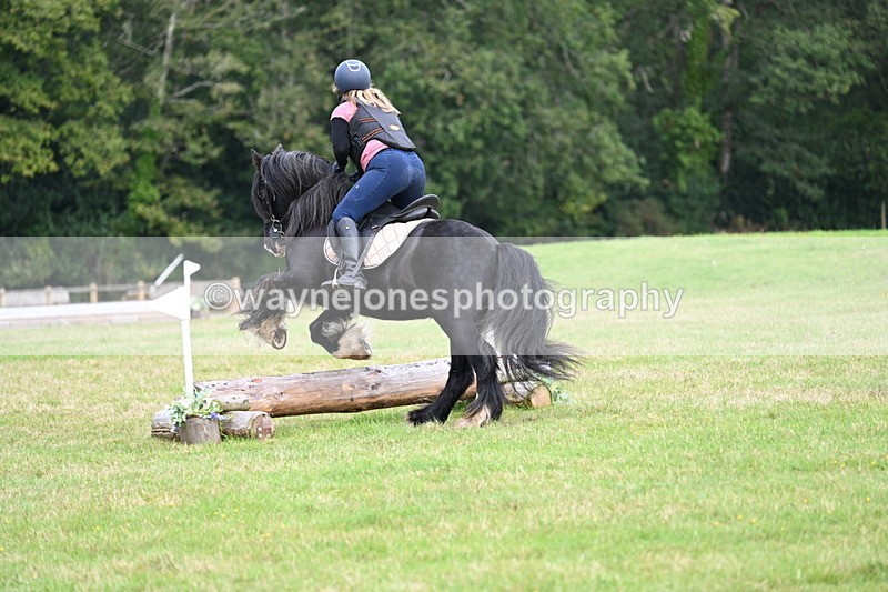 WJ7_7904 - 40cm Time 10:49 to 11:18