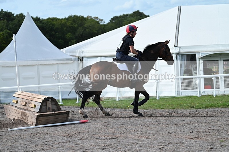 WJ7_2384 - Time 13:55 to 14:05