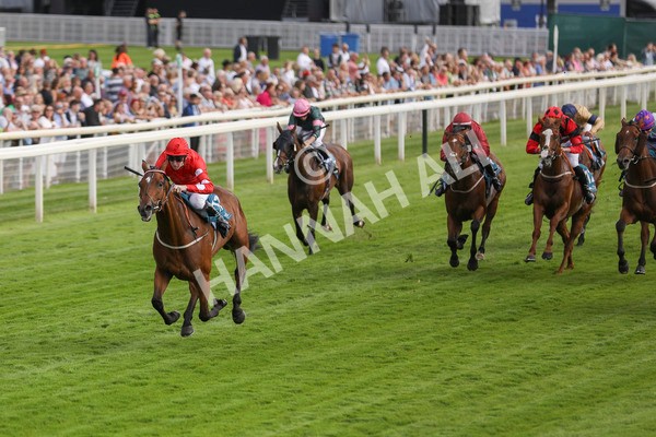 280723-Race 1-Tele Red-2660 - Race 1 5.00pm Pearly Cow Handicap