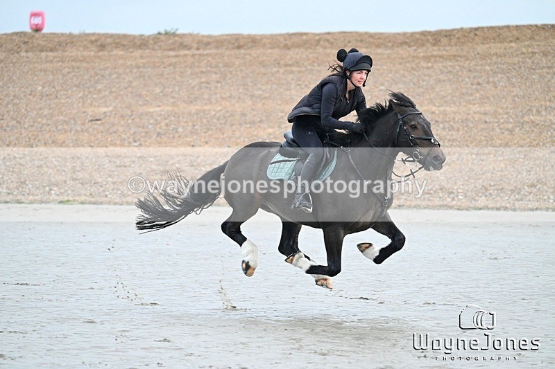 WJ7_9287 - Hayling Island Beach Shoot 22-09-24