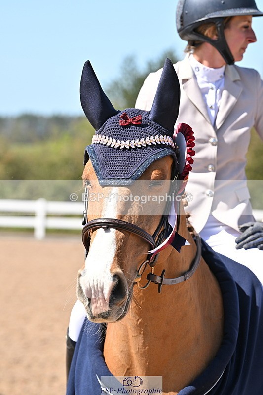 240420A-122705-10811 - Cls 15, 1 Star Bronze Tour 1.15m