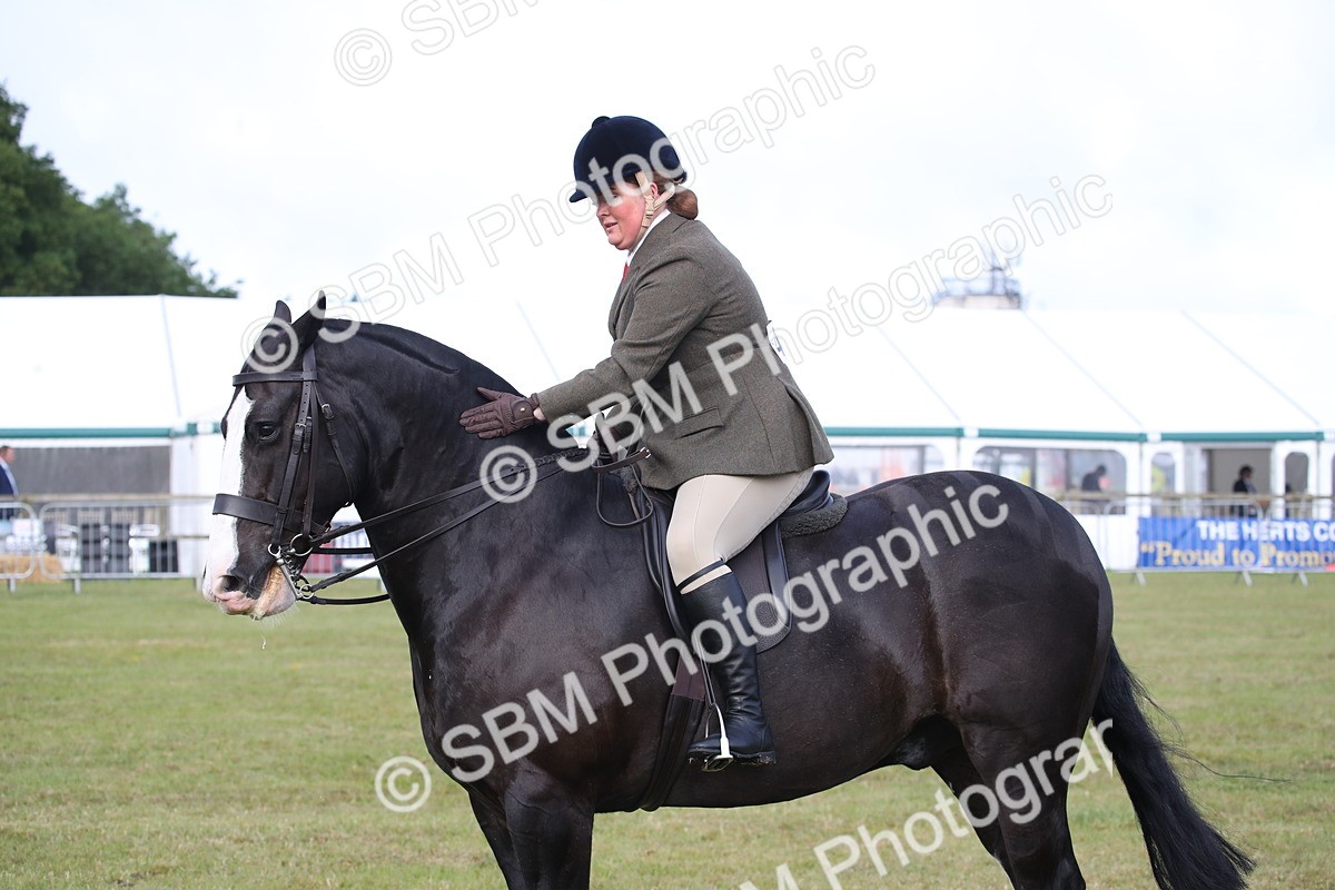 SBM_11104 - Class 92-93 - LIHS BSHA Rising Star Cobs