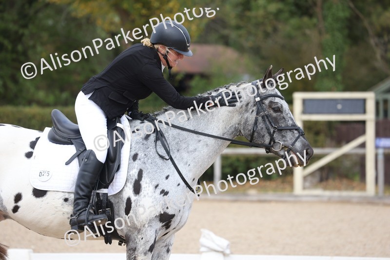 20261010-0719 - Class 6 - Novice 2