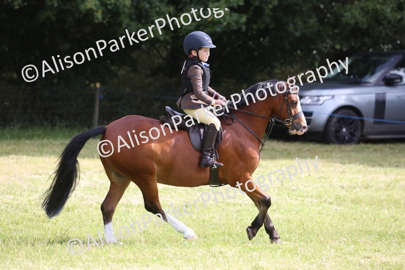 20260614-0503 - Class 20 - Beginners Working Hunter Pony