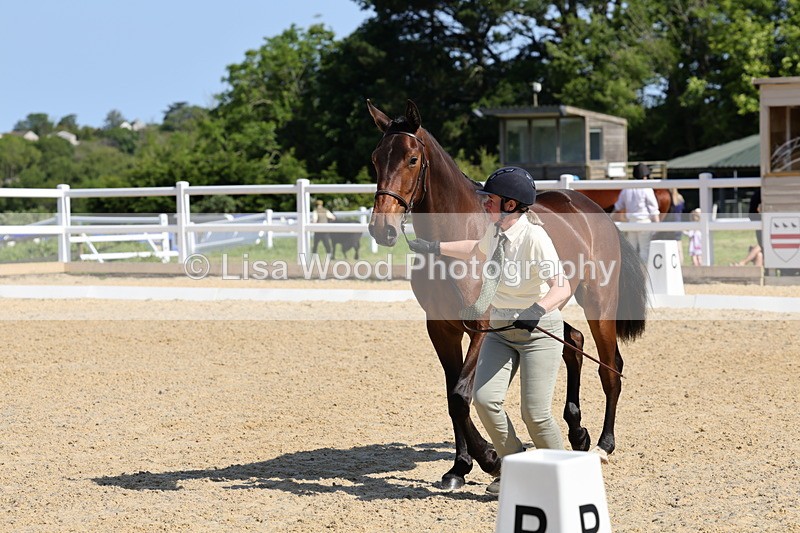 1X9A0783 - Class 4: Youngstock 1, 2, 3 year old to exceed 153cm