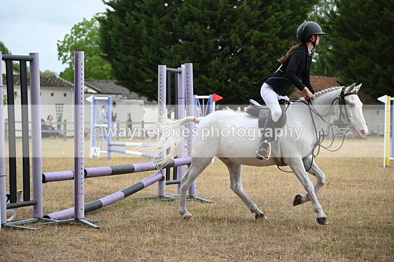 WJ6_0251 - Class 13 Novice Jumping 60cm
