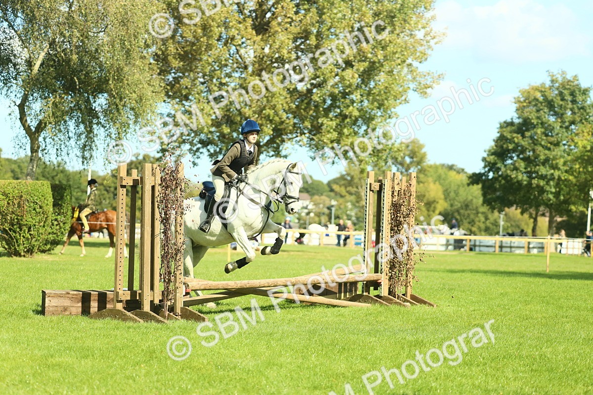 SBM_39265 - S29 - Novice & Newcomers Working Hunter Pony