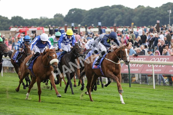 yr18082022r1-16 - Race 1 1.50pm Sky Bet Lowther Stakes