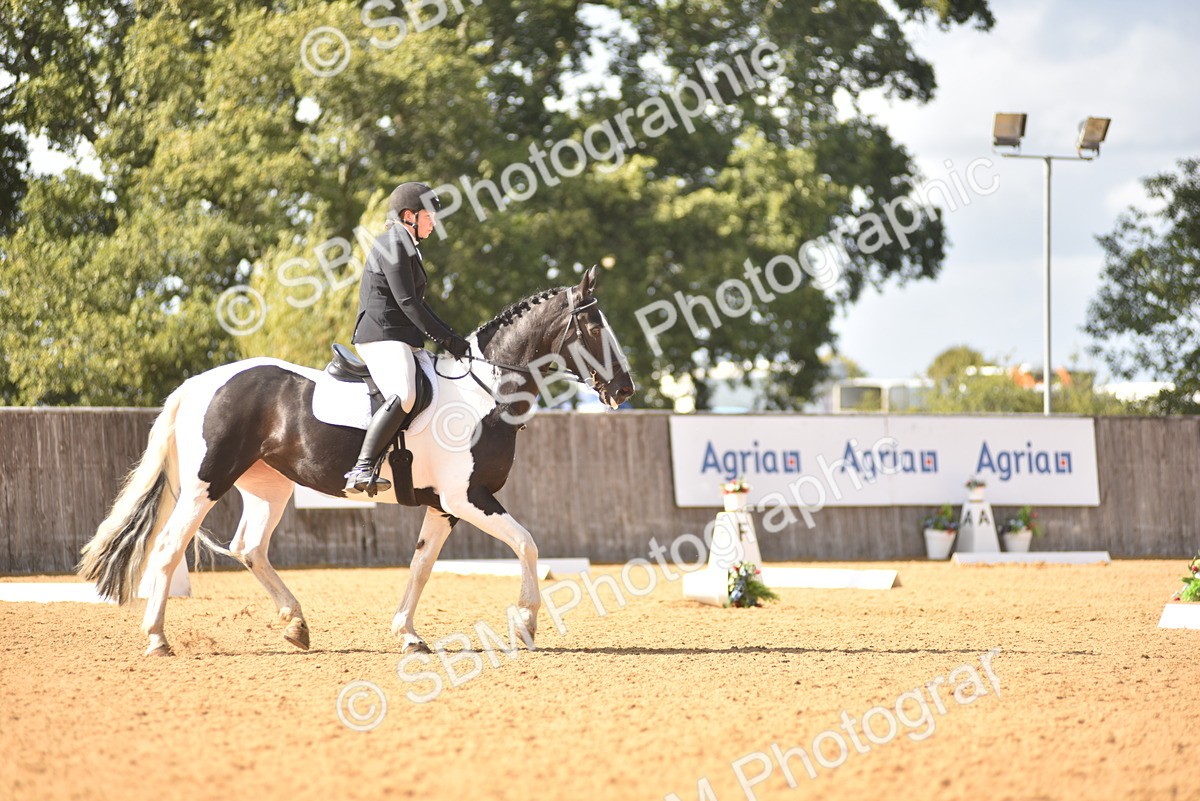 SBM_24301 - D4 - Small Tour Championship Intro 4