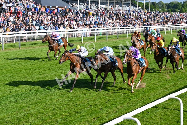 160525-Race 7-Delicacy-7438 - Race 7 5.30pm Yorkshire Equine Practice Handicap