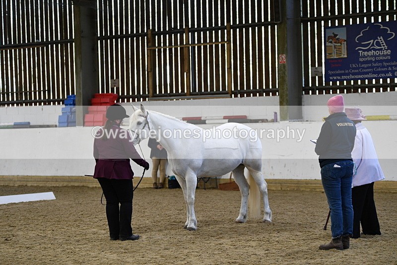 WJ5_3684 - Class 5 In Hand Veterans