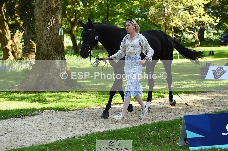 230524-153314-00349 - 358-EQUADOR_MW-Toots_Bartlett-WEDTrotUp+DR