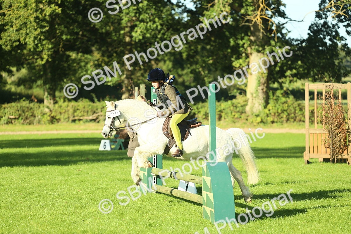 SBM_36304 - S29 - Novice & Newcomers Working Hunter Pony