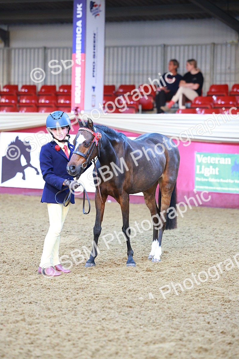 SBM_14601 - Class A - Junior Champ 10 year and Under