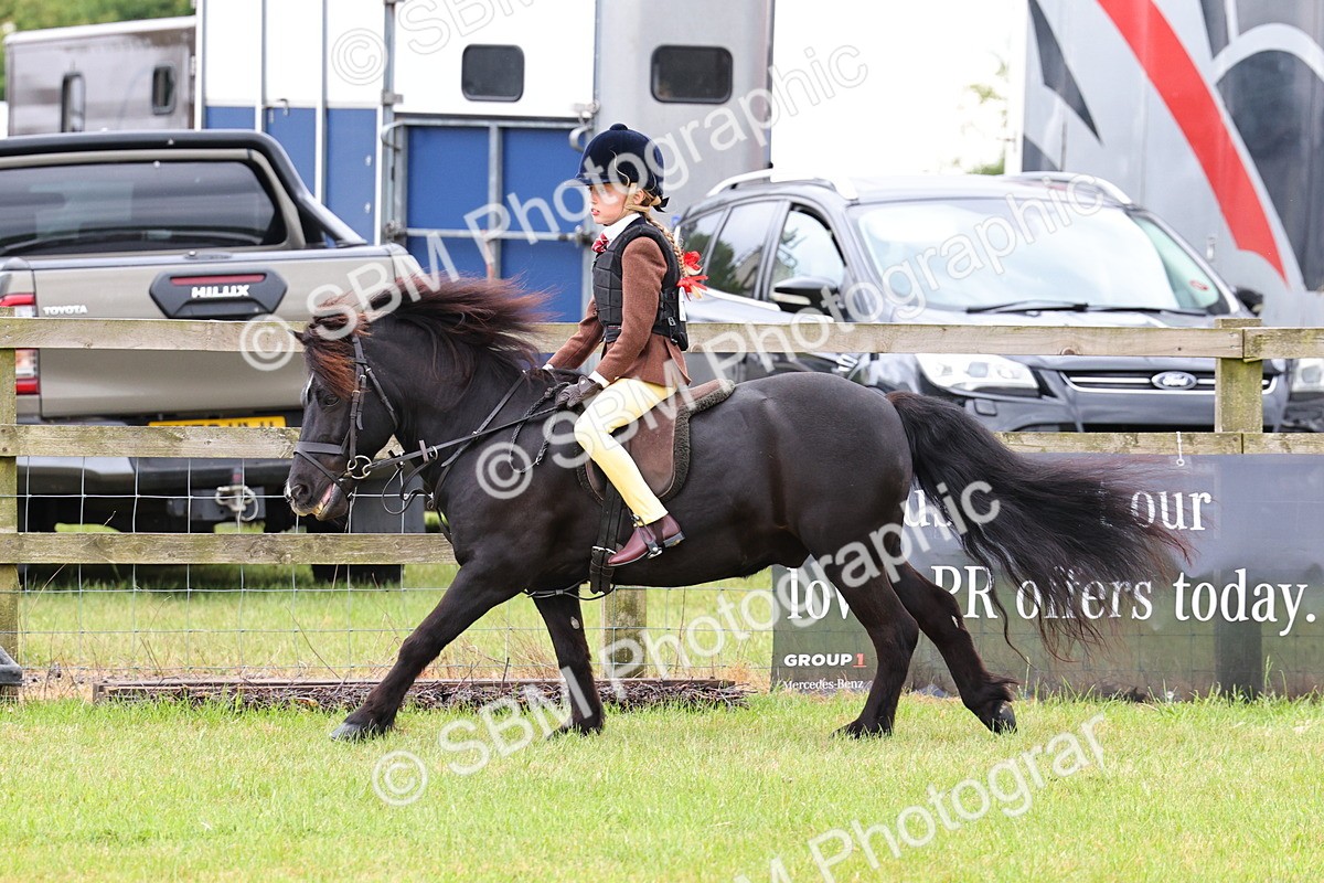 SBM_08679 - Class 42-43 - LIHS BSPS Heritage Working Sports Pony