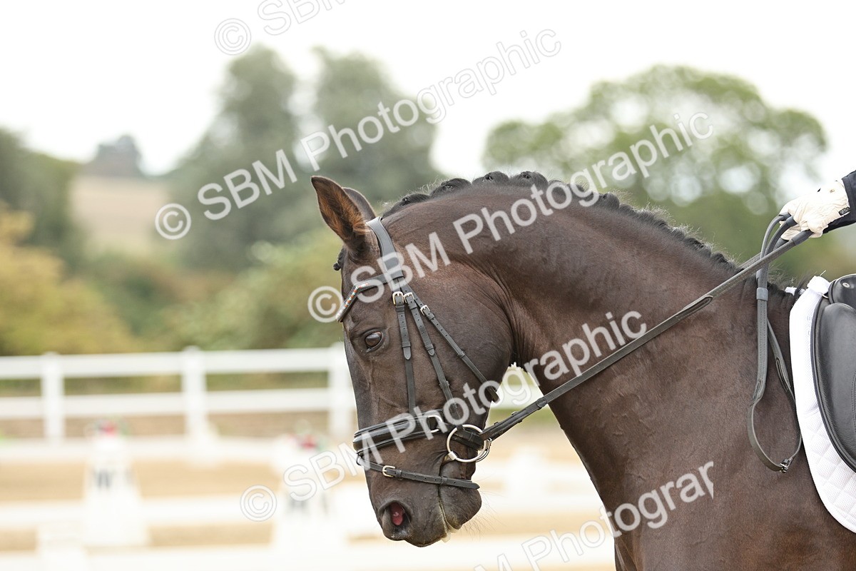SBM_006596 - Class 21 - Medium 5 Bronze - 9.08-9.48
