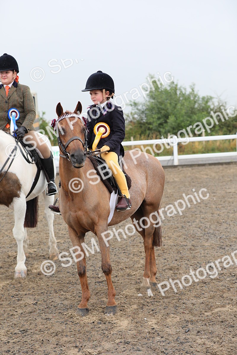 SBM_20645 - Class 804 - Ridden Veteran Pony
