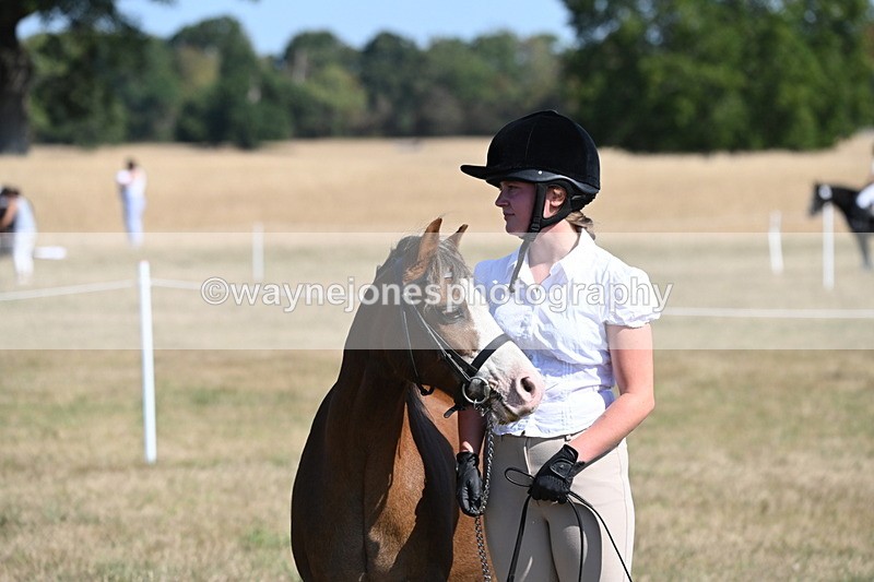 WJ6_7576 - Class 34 Judges Choice