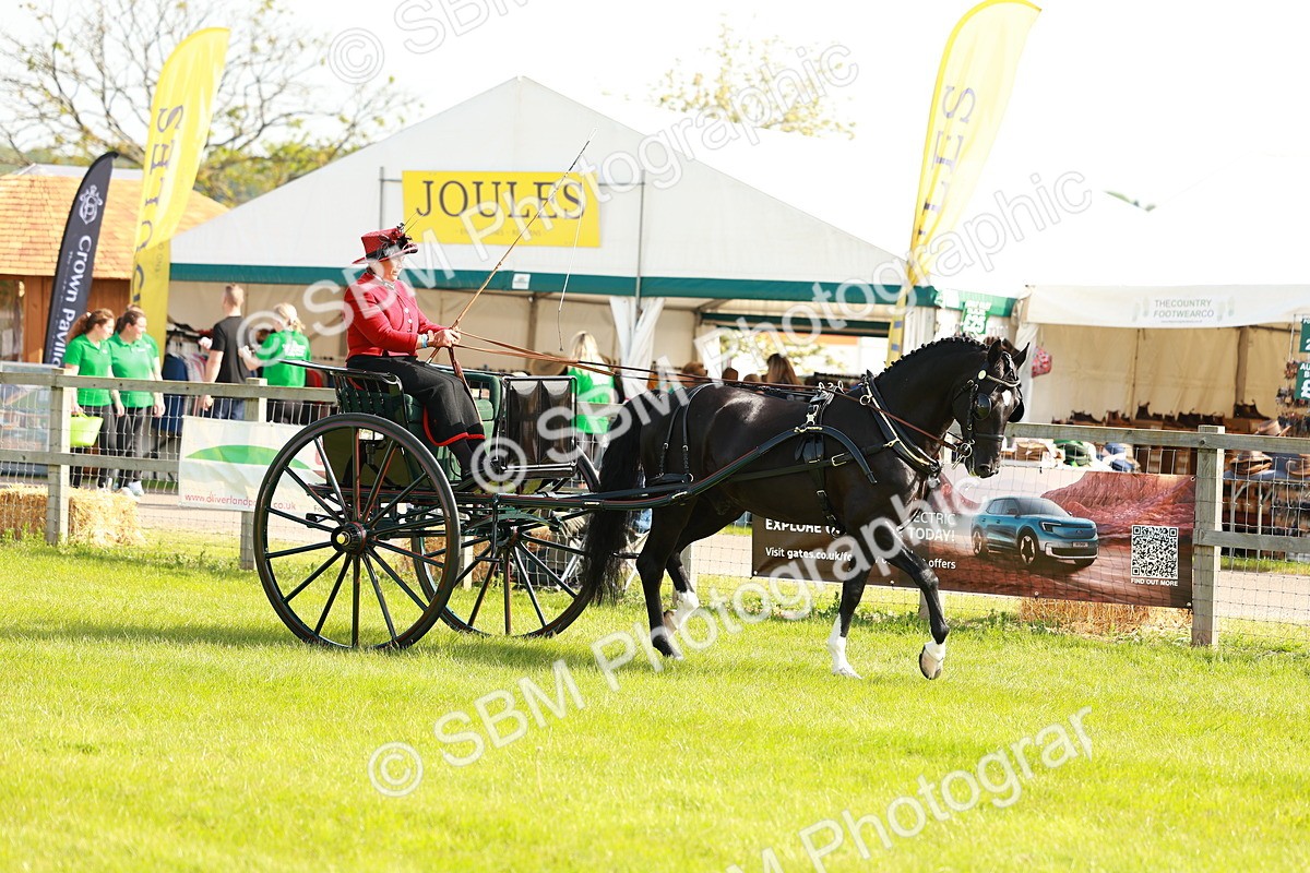 SBM_01152 - Class 2-4 - HOYS Private Driving