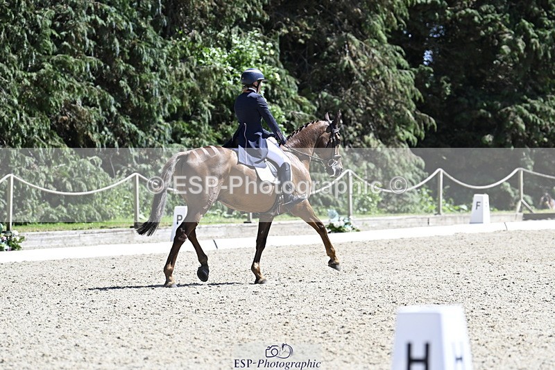 250522A-150206-03740 - D-402-Isabelle.Cook-CYMOON.F.Z