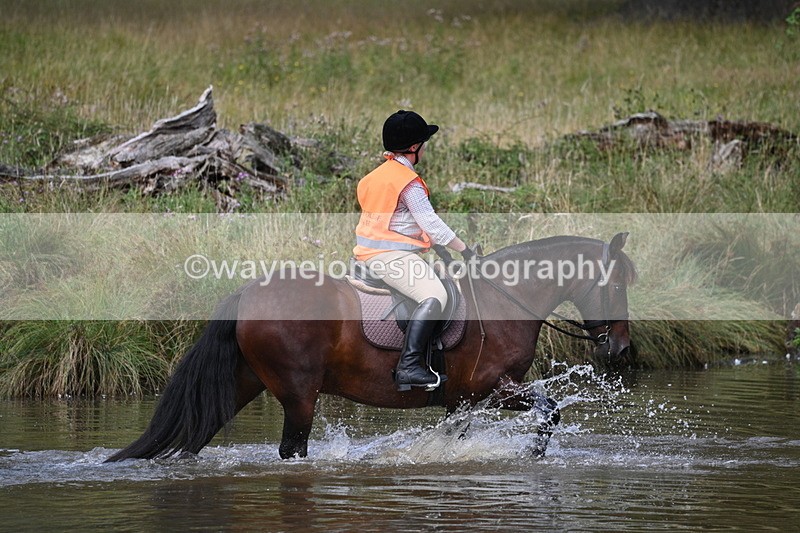 WJ7_0420 - Time at Water 09:19 to 10:04