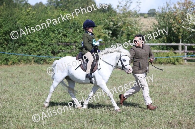 20250831-2584 - Class 16 - Family Pony