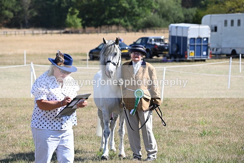 WJ6_4358 - Class 16 Condition & Turn Out