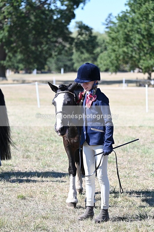 WJ7_1899 - Class 43 Best Six Legs (In hand)