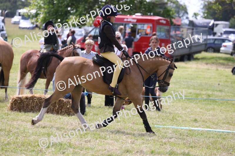 20260614-1911 - Class 21 - Novice Working Hunter Pony