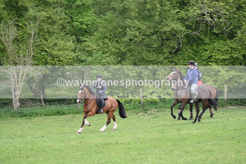 WJ6_2470 - A Camera