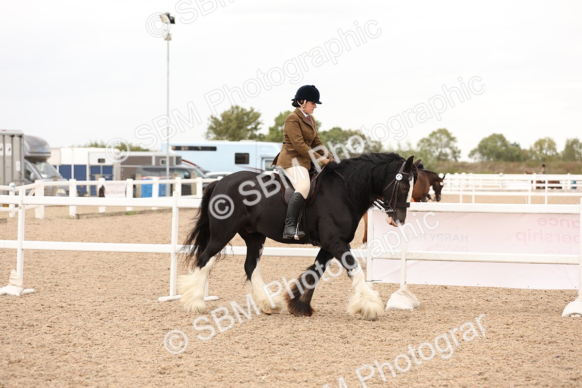 SBM_19636 - Class 216 - Ridden Traditional - Native Cob