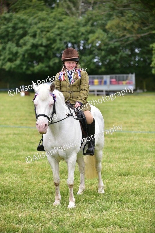 20260614-3709 - Class 15 - Prettiest Mare
