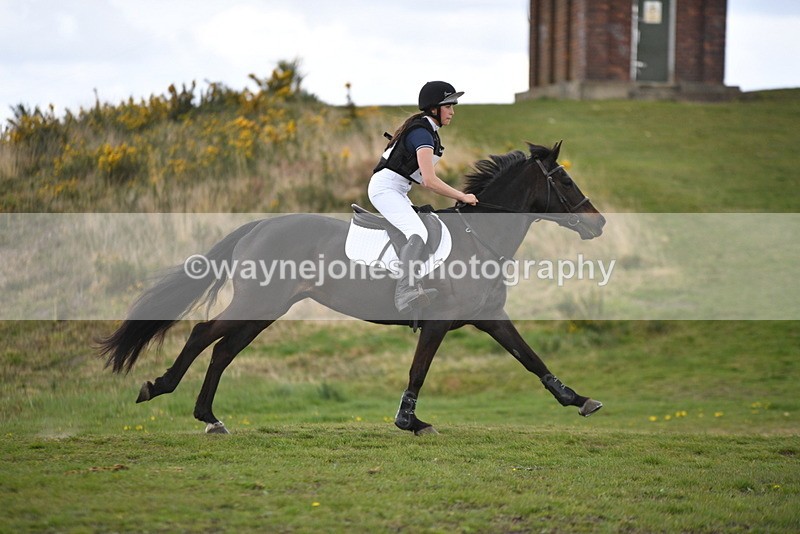 WJ5_3498 - Time 14:19 to 14:53