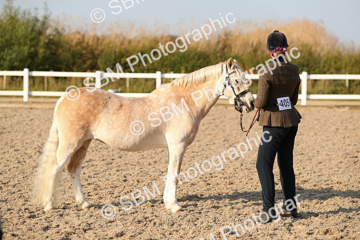 SBM_09061 - Class 29 IH Veteran Pony