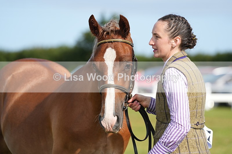 DSC04848 - Class 47: NPS M&M Yearling