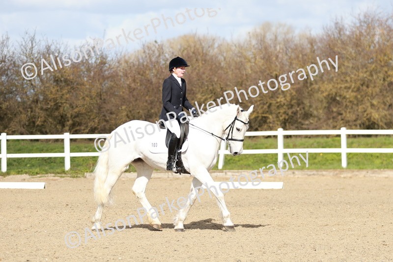 20260314-2972 - DR3 - Prelim 1