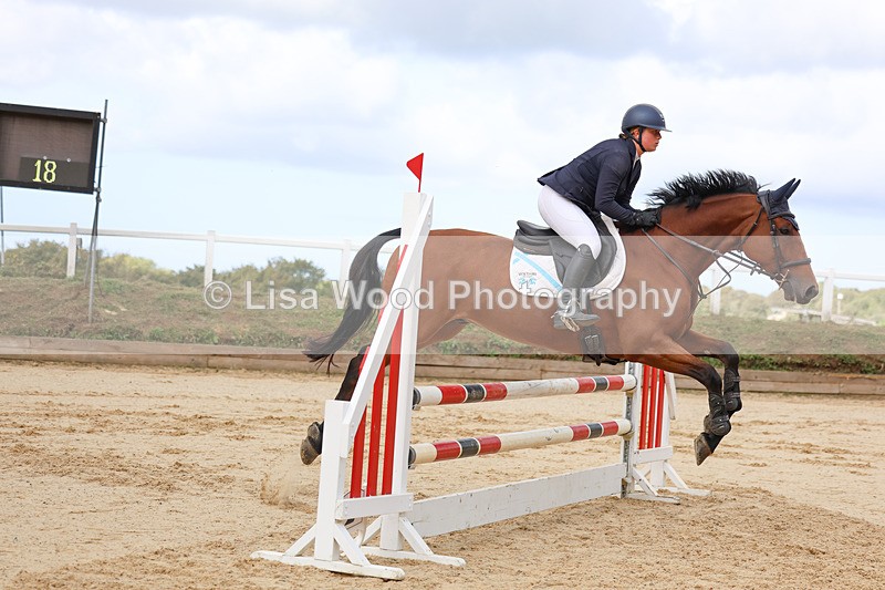 3E7A2156 - Class 4: Senior British Novice/90cm open