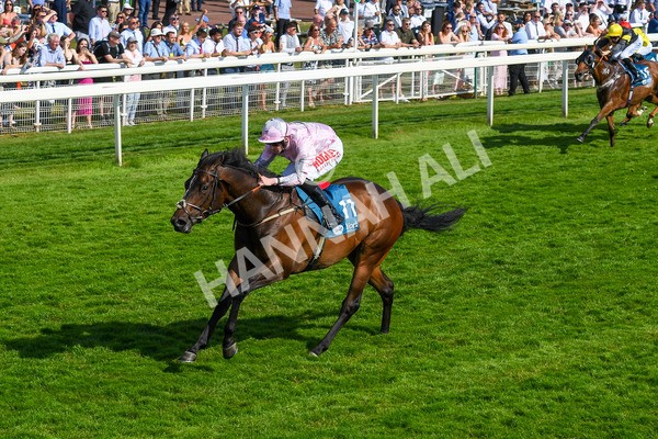 160623-Race 6-Another Investment-0698 - Race 6 4.45pm Irish Thoroughbred Marketing Handicap