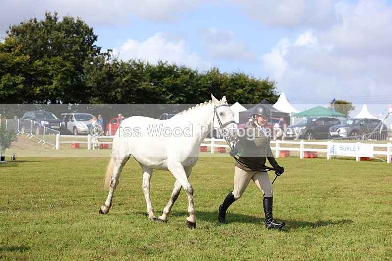 3E7A9060 - Class 3: Rising Star S/L Hunter