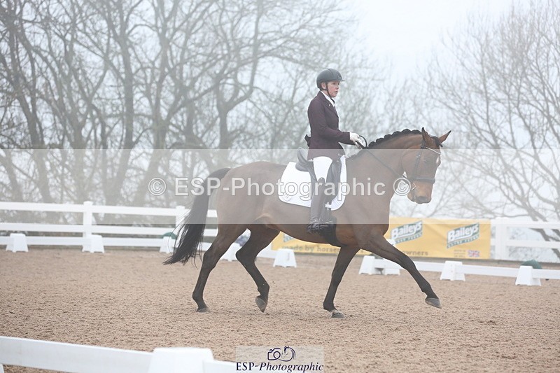 240217A-094523-00830 - 114-kelly.jewell-Juno.Watt