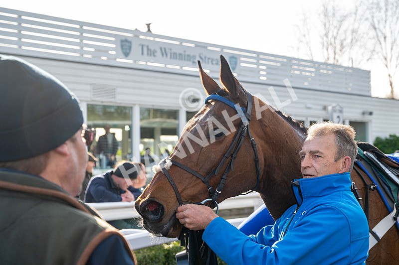 270224-Race 1-Could Be Trouble-6329 - Race 1