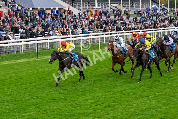 101025-Race 5-Go Vince Go-0399 - Race 5 Parsonage Hotel And Cloisters Spa Nursery Handicap at York