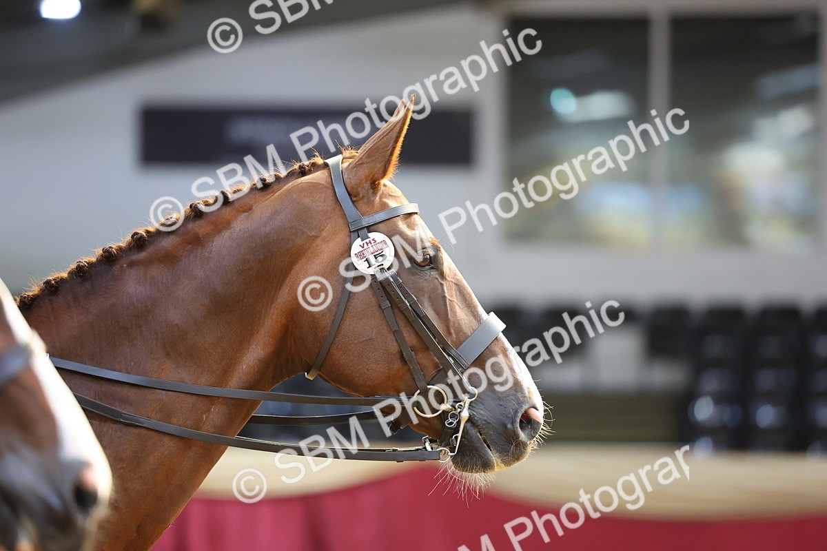 SBM_24586 - Class 906 - Supreme Final - Ridden Pre Vet