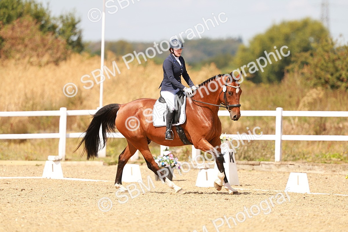 SBM_018576 - Class 9 - N5 Bronze 11.57.13.07