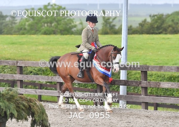 JAC_0955 - CHAMPIONSHIPS AND SUPREME
